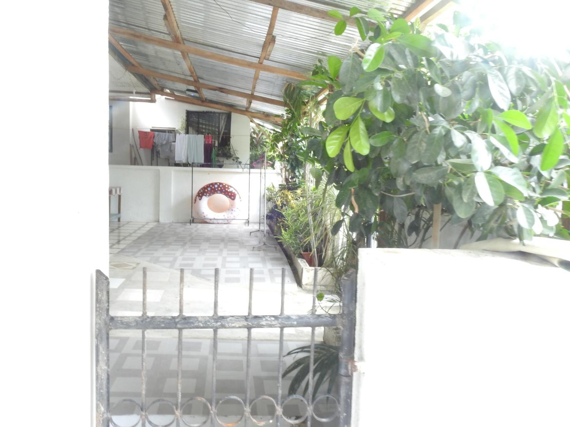 Pacifico Seaside Lodge Moalboal Ngoại thất bức ảnh