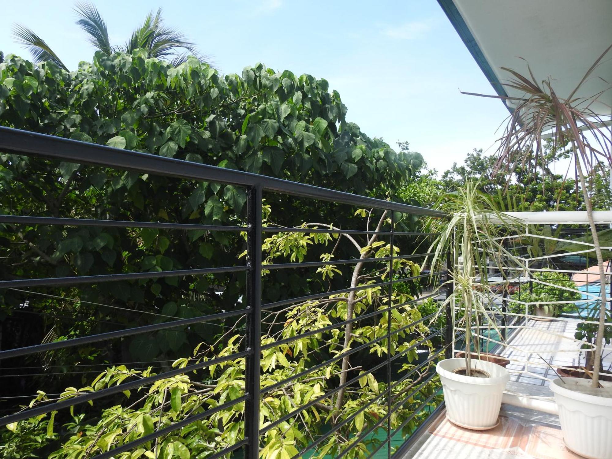 Pacifico Seaside Lodge Moalboal Ngoại thất bức ảnh